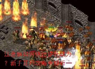 江念庭如何快速提升战力?新手开局攻略全解析 江念庭如何快速提升战力?新手开局攻略全解析