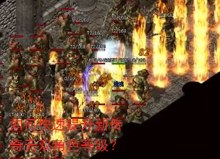 如何快速提升新传奇无双角色等级? 如何快速提升新传奇无双角色等级?