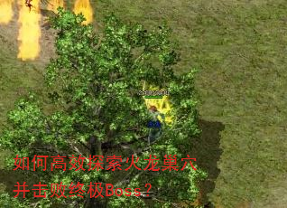如何高效探索火龙巢穴并击败终极Boss? 如何高效探索火龙巢穴并击败终极Boss?