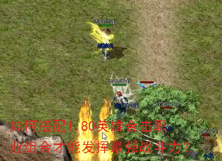 ��δ���1.80Ӣ�ۺϻ�ְҵ��ϲ��ܷ�����ǿս������
