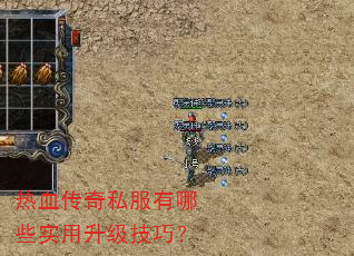 ��Ѫ����˽������Щʵ���������ɣ�