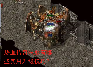 ��Ѫ����˽������Щʵ���������ɣ�