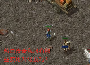 ��Ѫ����˽������Щʵ���������ɣ�