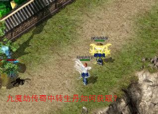 九魔劫传奇中转生丹如何获取? 九魔劫传奇中转生丹如何获取?