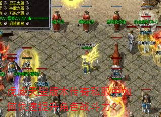 虎威天罡版本传奇私服中如何快速提升角色战斗力? 虎威天罡版本传奇私服中如何快速提升角色战斗力?