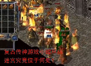 复古传神游戏中的丛林迷宫究竟位于何处? 复古传神游戏中的丛林迷宫究竟位于何处?