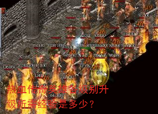 ��Ѫ����Ӣ�۸������������辭���Ƕ��٣�