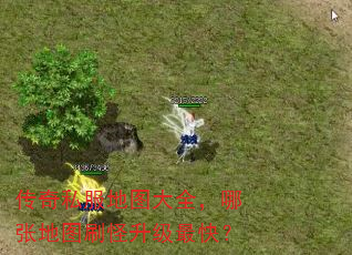 ����˽����ͼ��ȫ�����ŵ�ͼˢ��������죿